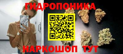 PSILOCYBIN Кумертау